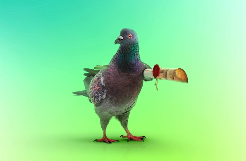 Telegram和Signal哪个更安全？